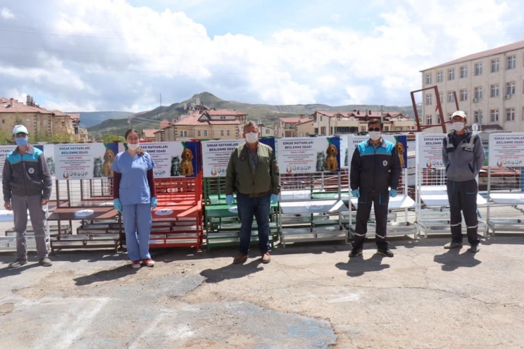 Ürgüp’te Sokak Hayvanları İçin Beslenme Odakları Oluşturuldu