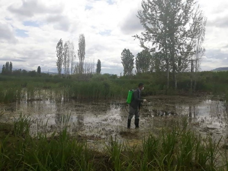 Gölbaşı’nda Sivrisinek İle Mücadele