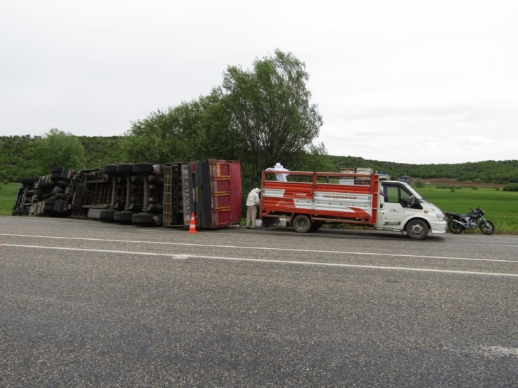 Devrilen Kamyonetteki Arılar Karayolunu Bastı