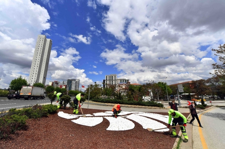 Büyükşehir’den Kuru Peyzaj
