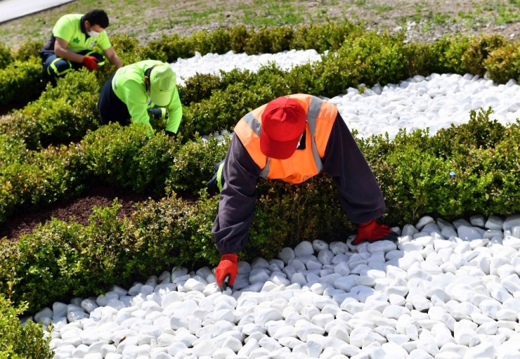 Büyükşehir’den Kuru Peyzaj