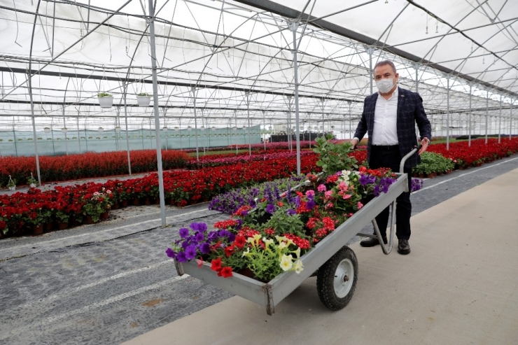 Başkan Böcek Çiçek Üreticisinin Yanında