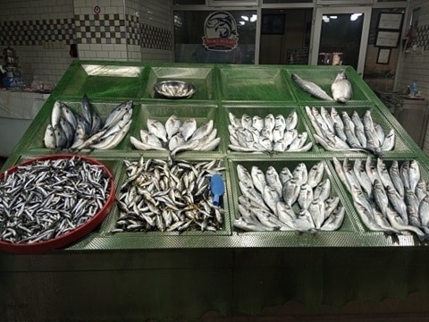 Vatandaşlar Çupra Ve Levrek İlgi Gösterdi