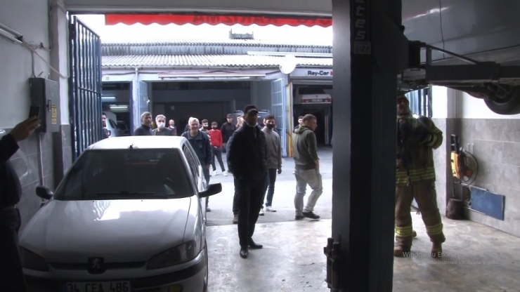 ’Yılan Merakı’, Korona Virüs Korkusunun Önüne Geçti