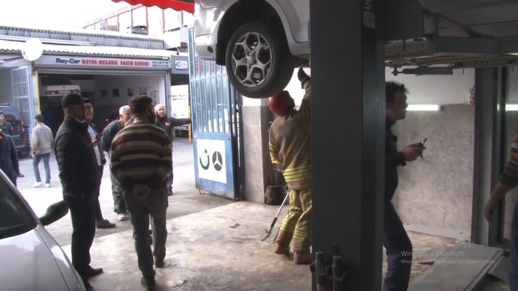 ’Yılan Merakı’, Korona Virüs Korkusunun Önüne Geçti