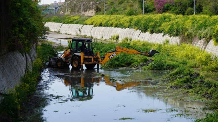 Başakşehir’de Sivrisinek Mücadelesi Larvalardan Başlıyor