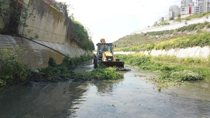 Başakşehir’de Sivrisinek Mücadelesi Larvalardan Başlıyor
