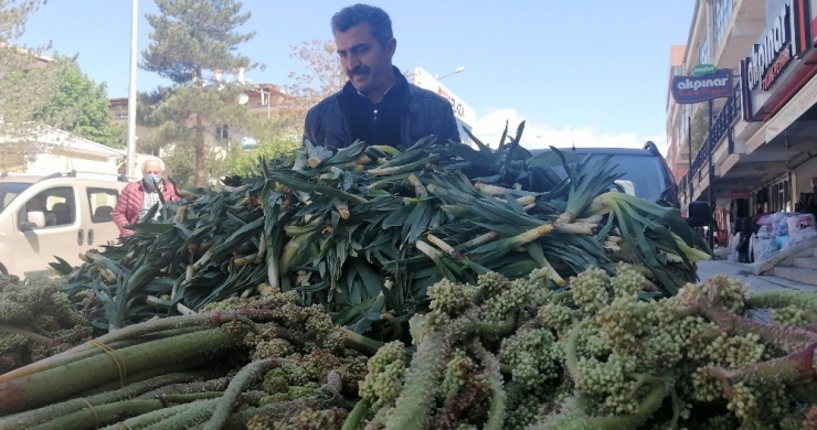 Kanser Savar Olarak Bilinen ‘Işkın’ Tezgâhlarda Yerini Aldı