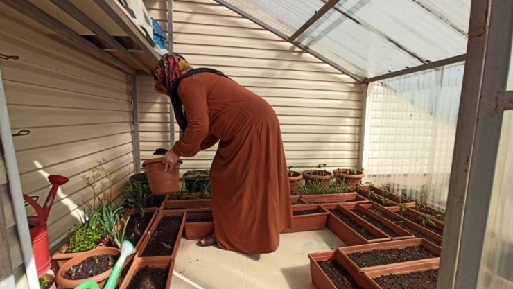 Cumhurbaşkanının Talimatını Dinledi, Sebzelerini Terasta Yetiştirmeye Başladı