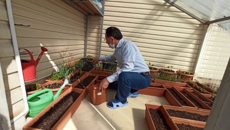 Cumhurbaşkanının Talimatını Dinledi, Sebzelerini Terasta Yetiştirmeye Başladı