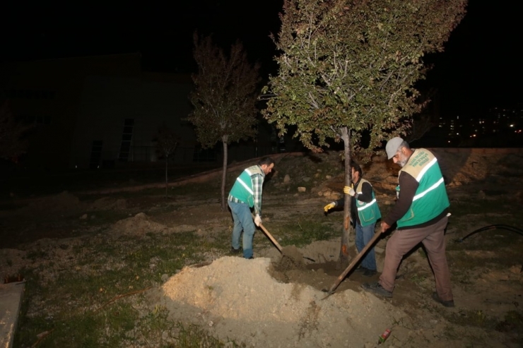 Elazığ’da Yenileme Çalışmaları