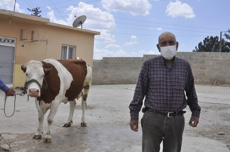 “Biz Bize Yeteriz” Kampanyasına İneğini Bağışladı