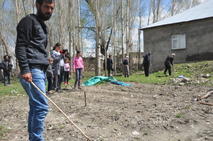 Yılanlar Evi Bastı