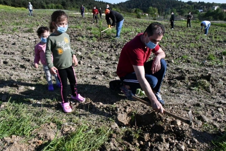 Karantinada Kalan Vatandaşlar Ve Çocukları Fidan Dikti