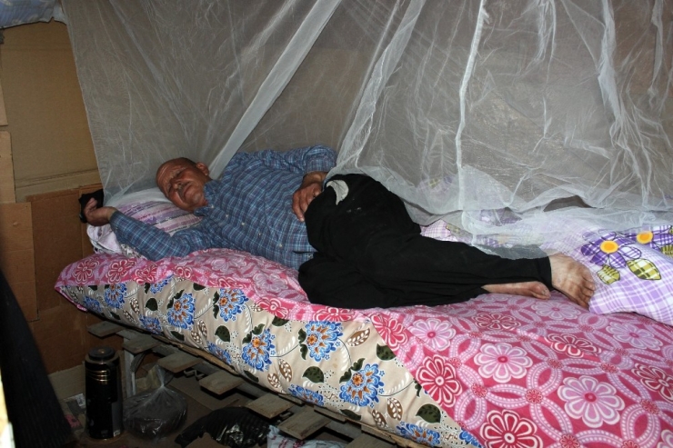 Yaşlı Adam 15 Yıldır Metruk Binada Yaşıyor