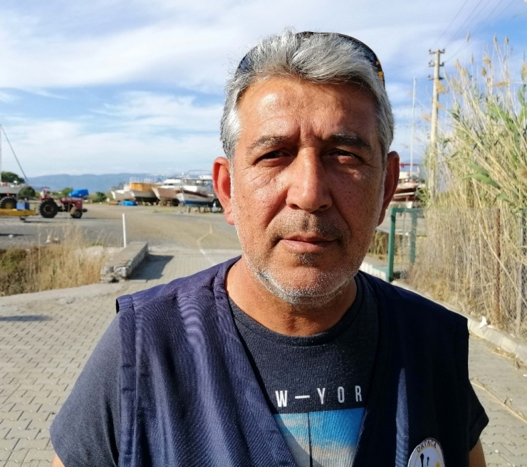 Yerleşim Yerine İnen Kurt Güvenlik Kameralarına Takıldı