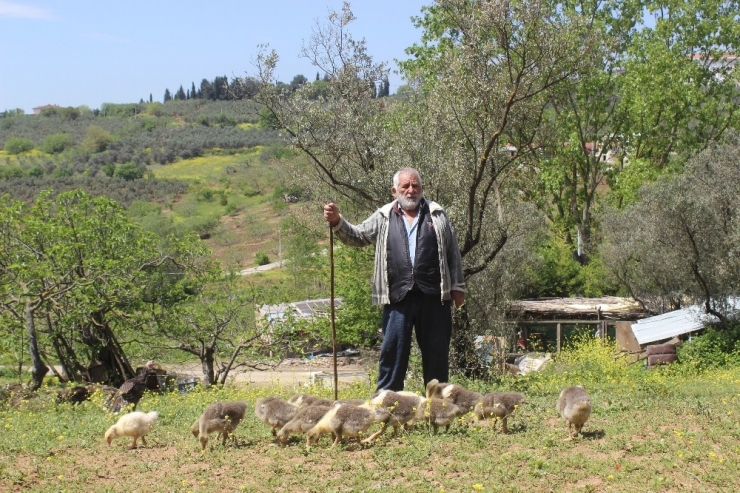 Yaşlı Adama 20 Milyonluk Şok...