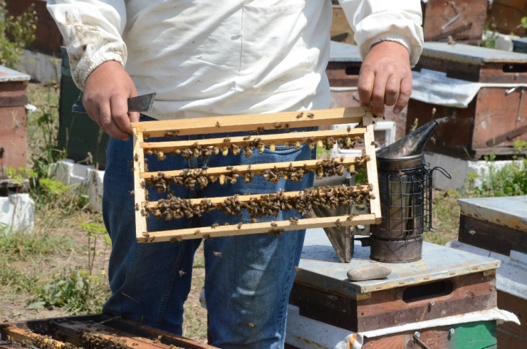 Korona Virüse Karşı ‘Ballı’ Önlem
