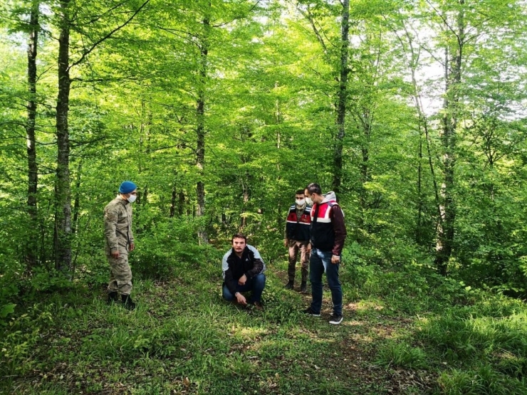 Kaybolan Şizofreni Hastasını İz Arama Köpeği Yastığından Buldu