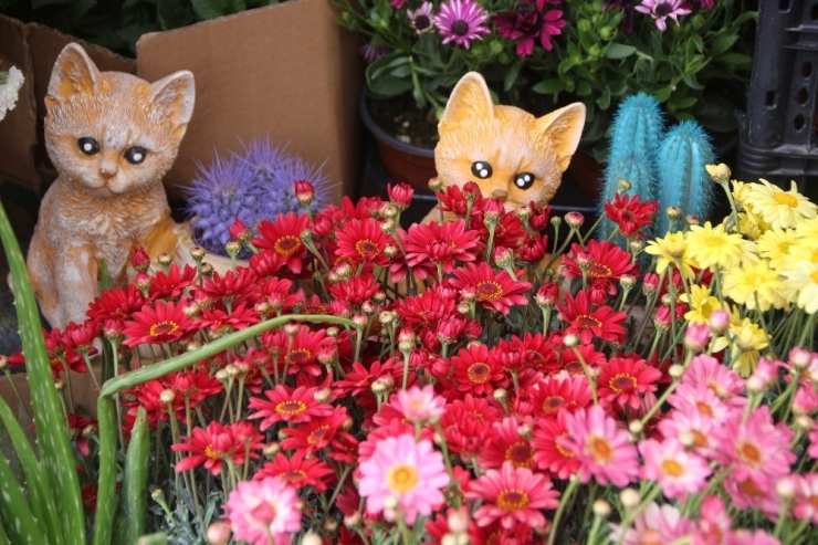 Anneler Günü Öncesi Çiçekçilerde Son Gün Yoğunluğu