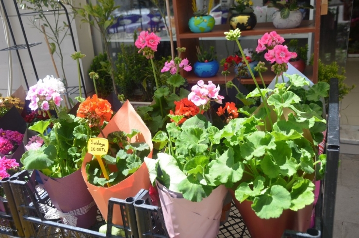 Bu Yıl Çiçek Siparişlerinin Yüzde 80’i Telefon Veya İnternet Üzerinden