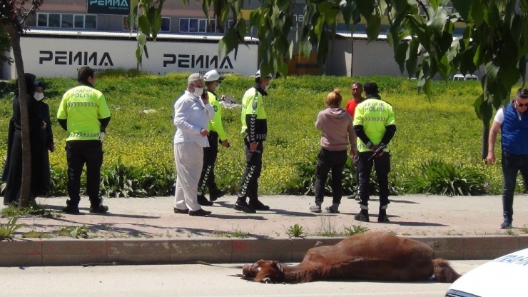 Sokağa Çıkma Kısıtlamasında Akıl Almaz Kaza...otomobil Ata Çarptı