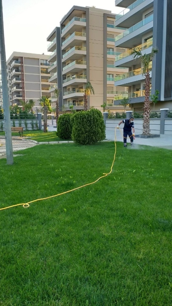 Çiğli Parklarında Çim Ve Bitkilere Özel Bakım