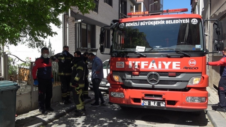 Evde Telef Olan Kedi Polis Ve İtfaiyeyi Alarma Geçirdi