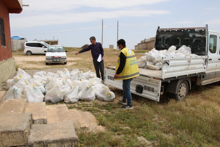 Haliliye’de Muhtaç Ailelere Gıda Desteği