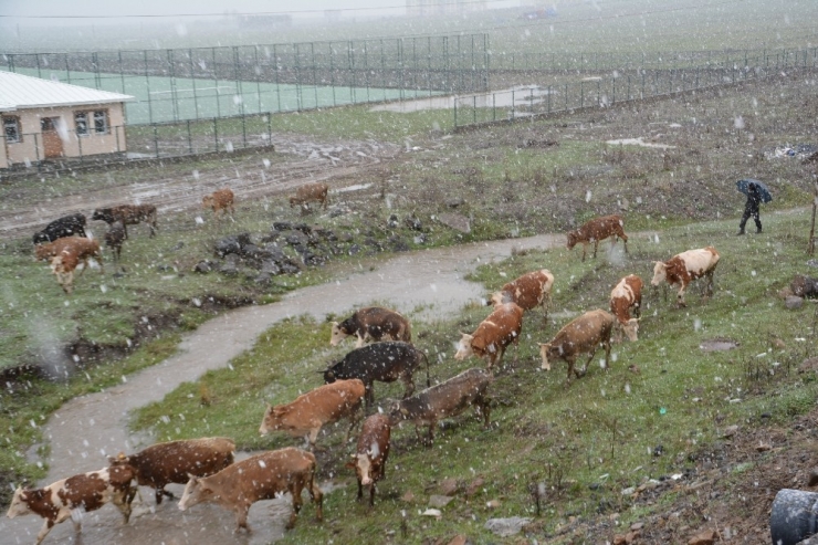 Kars’ta Mayıs Ayında Kar Sürprizi