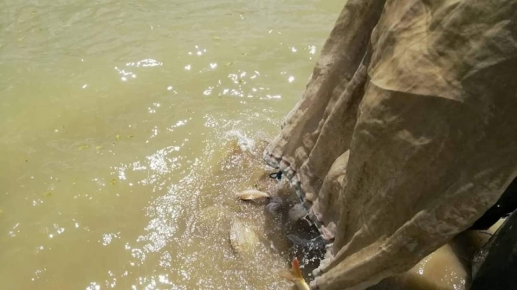 Elazığ’da Bin Metrelik Kaçak Balık Ağı Toplanarak İmha Edildi