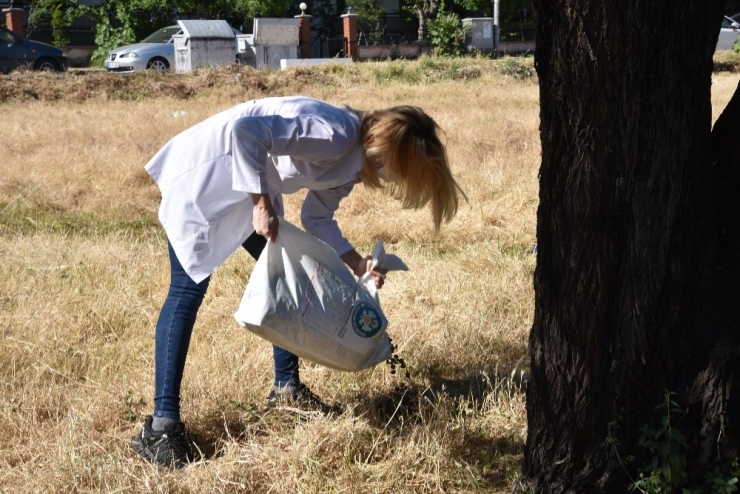 Manisa Büyükşehir’in Mama Desteği Sürüyor
