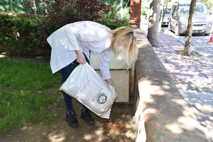 Manisa Büyükşehir’in Mama Desteği Sürüyor