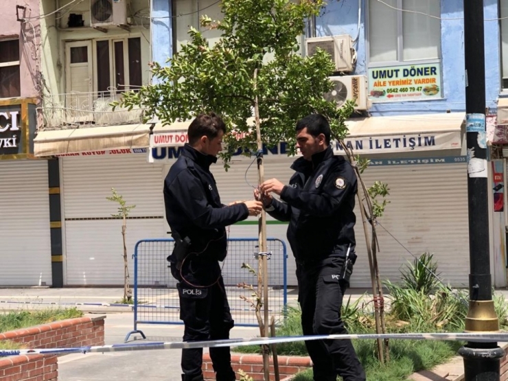 Rüzgardan Eğilen Ağacın Yardımına Kızıltepe Polisi Koştu