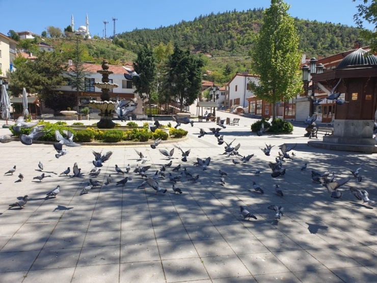 Nallıhan’da Cumhuriyet Meydanı Güvercinlere Kaldı