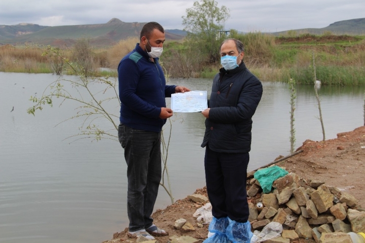 Kızılırmak Üzerinde Sazan Balığı Tesisi Kuruldu