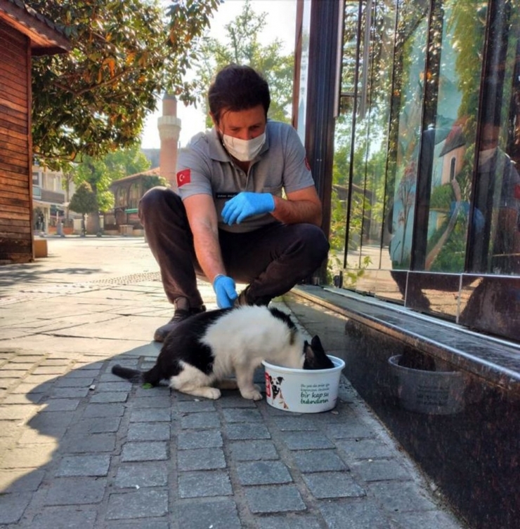Osmangazi’de Sokak Hayvanları Düzenli Olarak Besleniyor