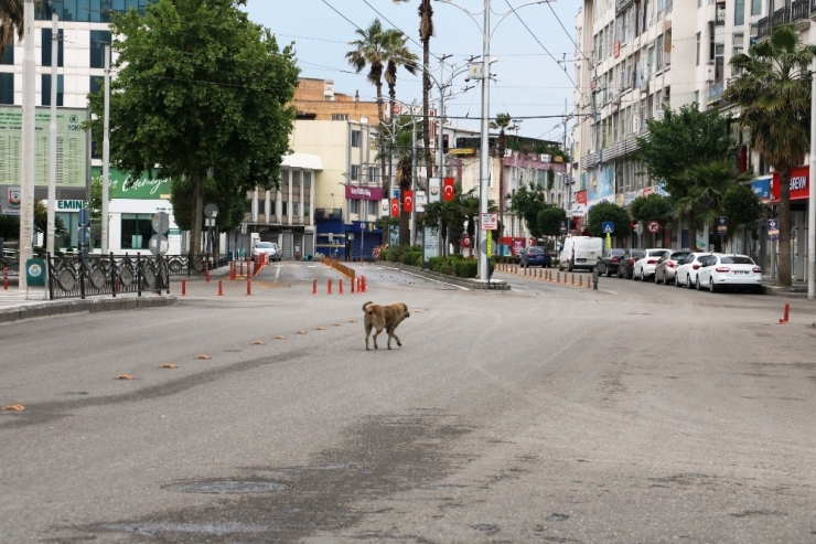 Şanlıurfa’da Cadde Ve Sokaklar Boş Kaldı