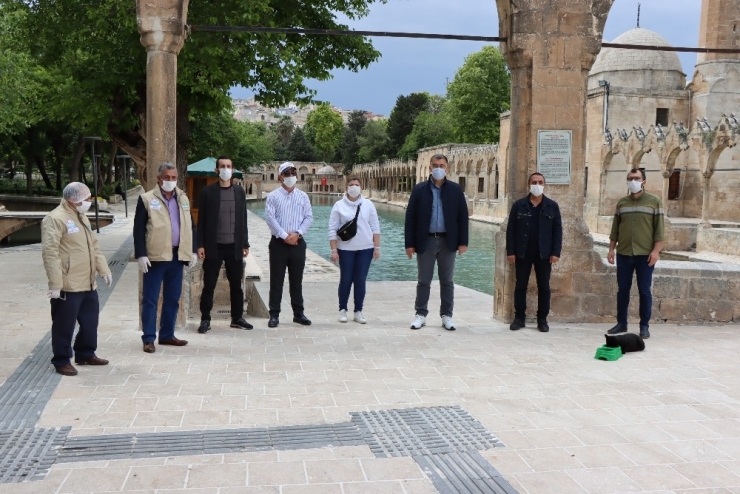 Şanlıurfa’da Korona Günlerinde Sokak Hayvanları Unutulmadı