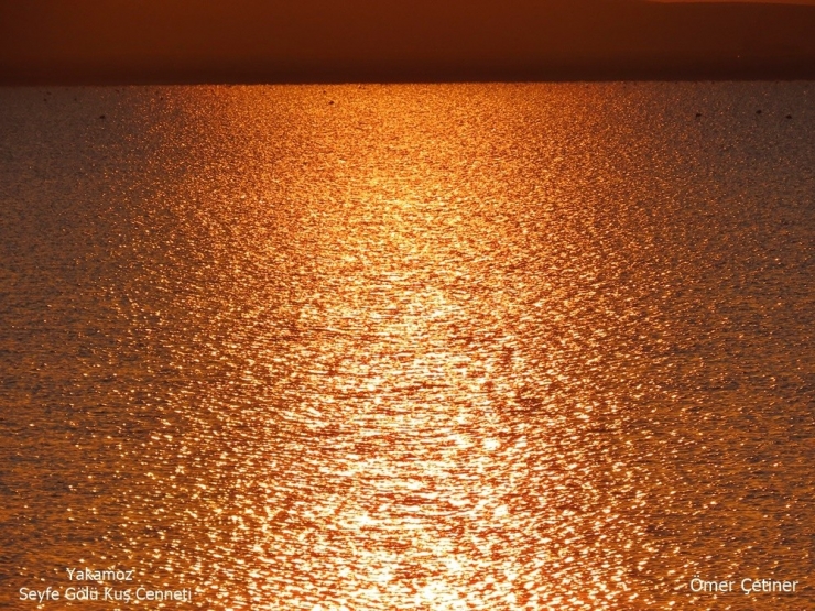 Gün Doğumundan, Gün Batımına Seyfe Gölü’nde Kuşlar Renkli Görüntüler Oluşturdu