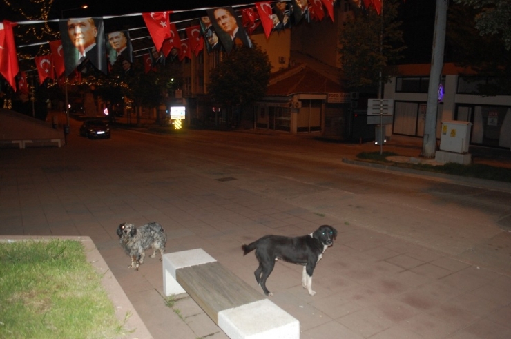 Vatandaşlar Kısıtlamaya Uydu, Sokaklar Sessizliğe Büründü