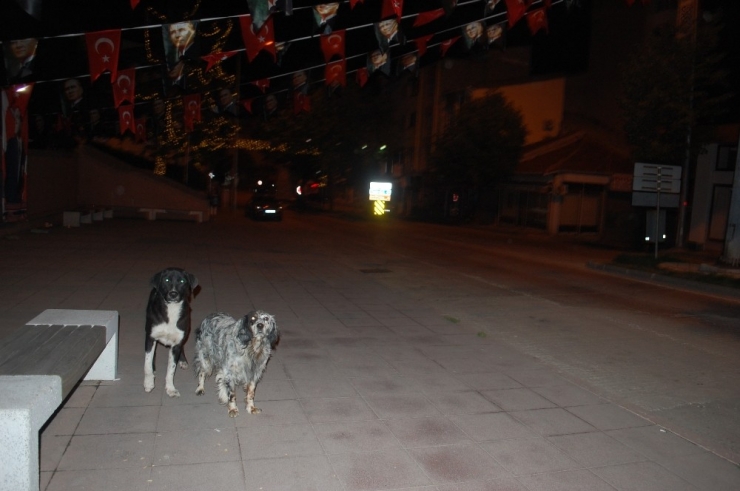 Vatandaşlar Kısıtlamaya Uydu, Sokaklar Sessizliğe Büründü