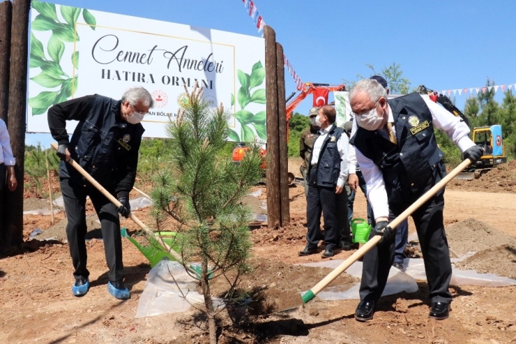 Türkiye’de 100 Yaşını Aşmış Anneler İçin Hatıra Ormanı Oluşturuldu