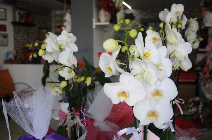 Anneler Günü’nde Çiçek Satışları Geçmiş Senelere Göre Rekor Kırdı