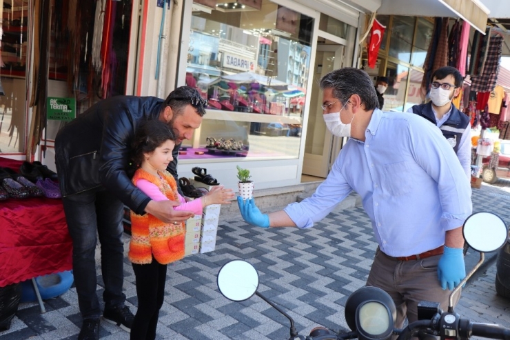 Annelere Çiçek Yerine Sebze Fidesi