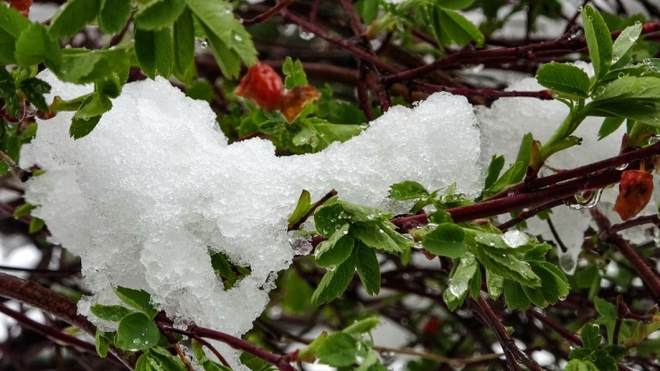 Batıda Yaz Doğuda Kış