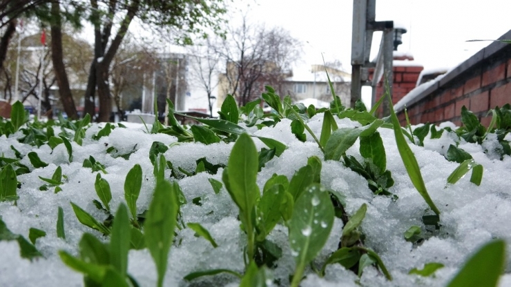 Batıda Yaz Doğuda Kış