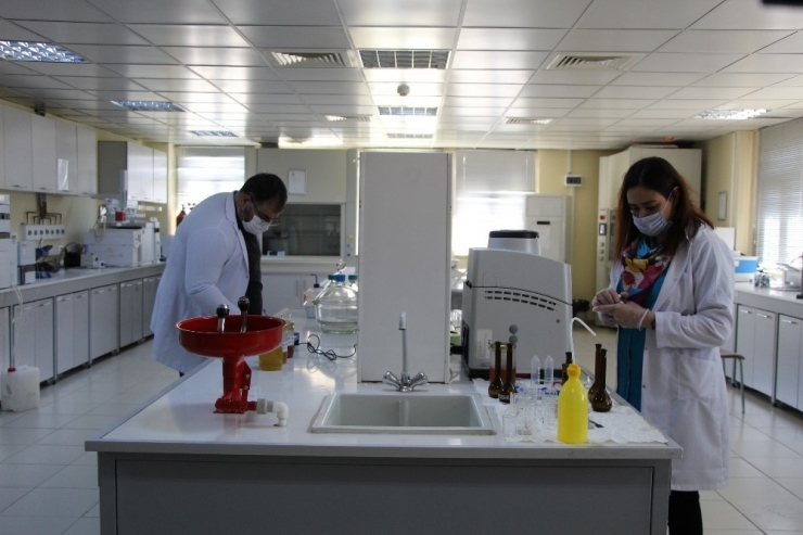 Arı Ürünlerinin Satışı Üç Kat Arttı, Tüketim Konusunda Uyarı Geldi