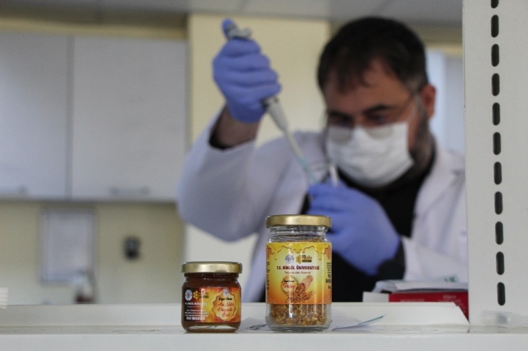 Arı Ürünlerinin Satışı Üç Kat Arttı, Tüketim Konusunda Uyarı Geldi