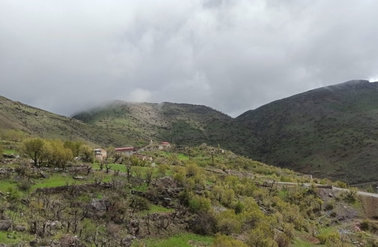 Kozluk’ta Bir Mezra Karantinaya Alındı